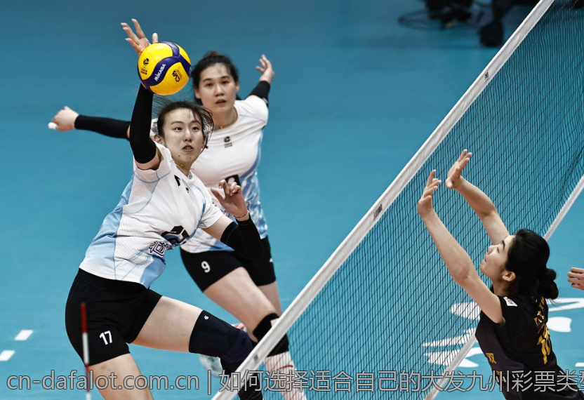如何选择适合自己的大发九州彩票类型