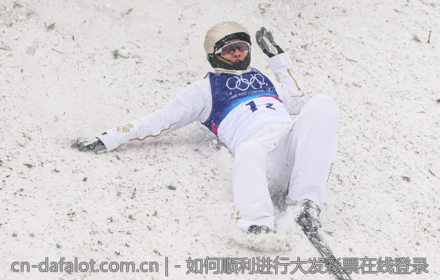 - 如何顺利进行大发彩票在线登录