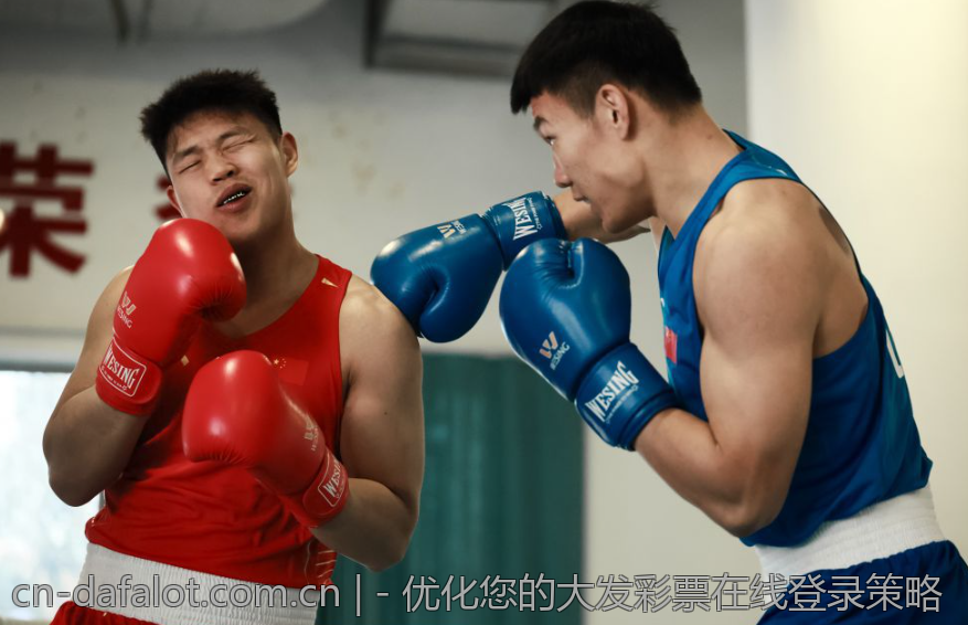 - 优化您的大发彩票在线登录策略