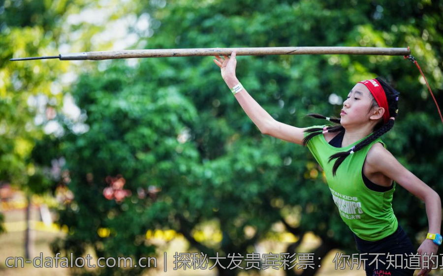 探秘大发贵宾彩票：你所不知道的真相