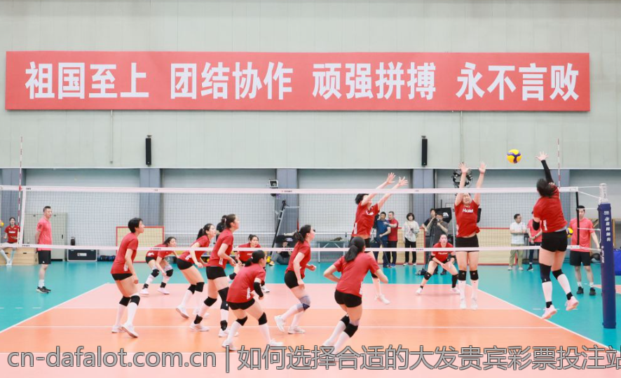 如何选择合适的大发贵宾彩票投注站